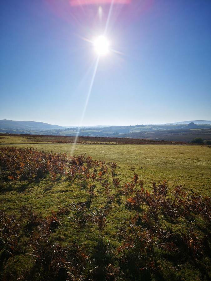 Willa Pen-Rhos Luxury Glamping "Cuckoo'S Nest" Llandrindod Wells Zewnętrze zdjęcie