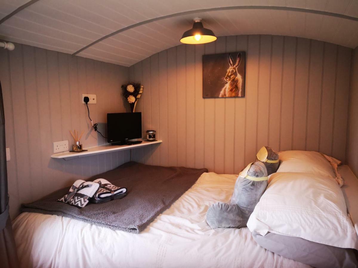 Willa Pen-Rhos Luxury Glamping "Cuckoo'S Nest" Llandrindod Wells Zewnętrze zdjęcie