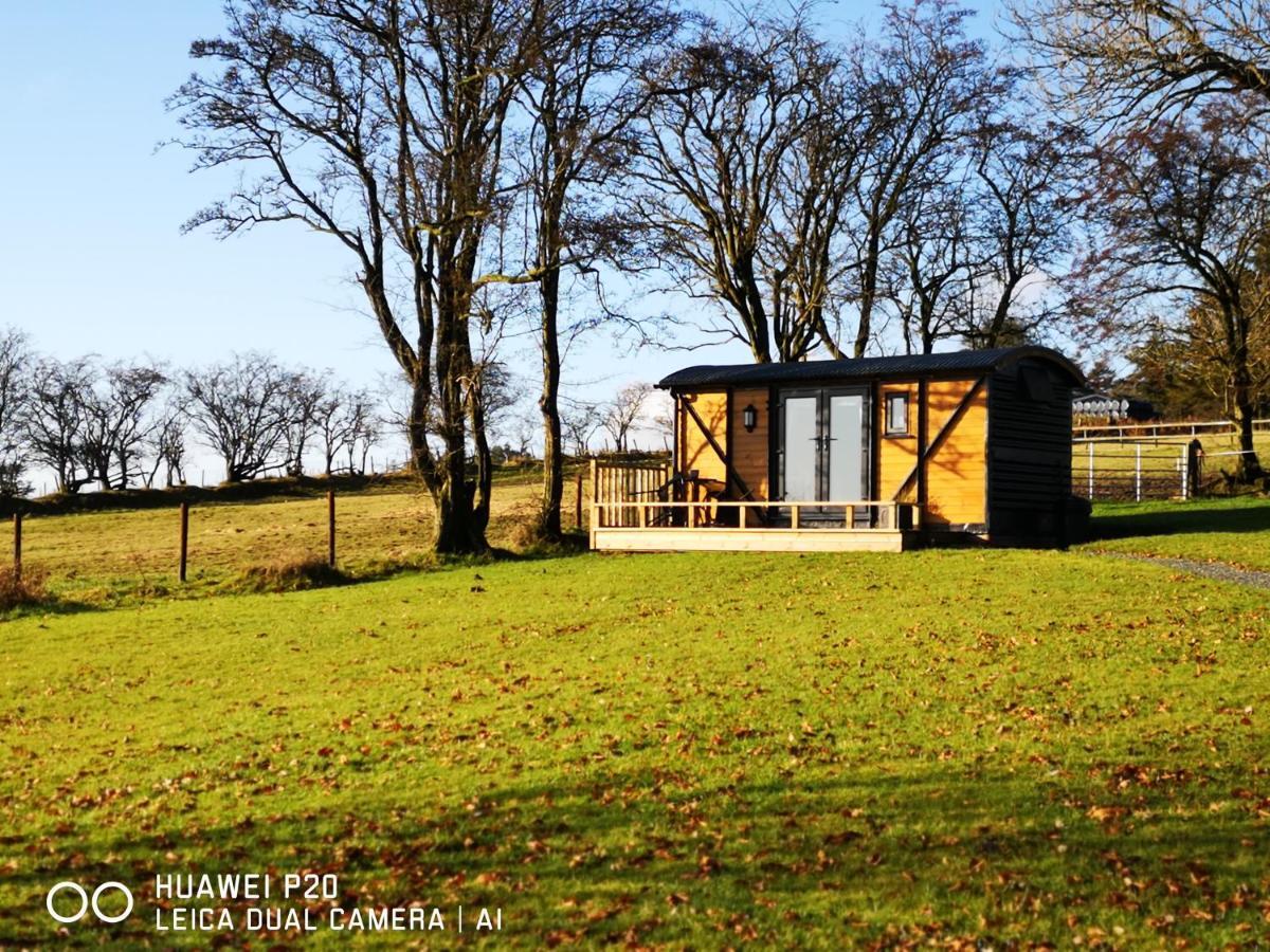 Willa Pen-Rhos Luxury Glamping "Cuckoo'S Nest" Llandrindod Wells Zewnętrze zdjęcie